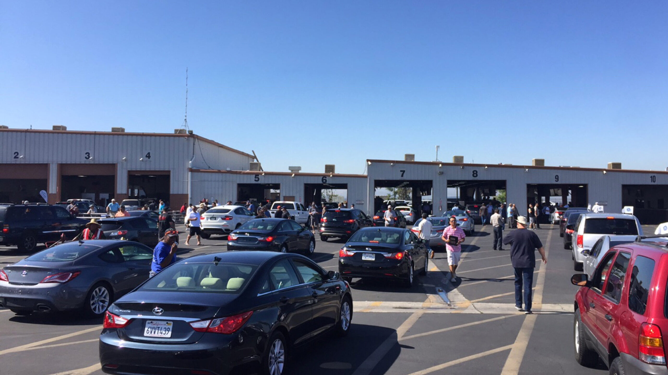 Wholesale car auction lane with dealers and vehicles